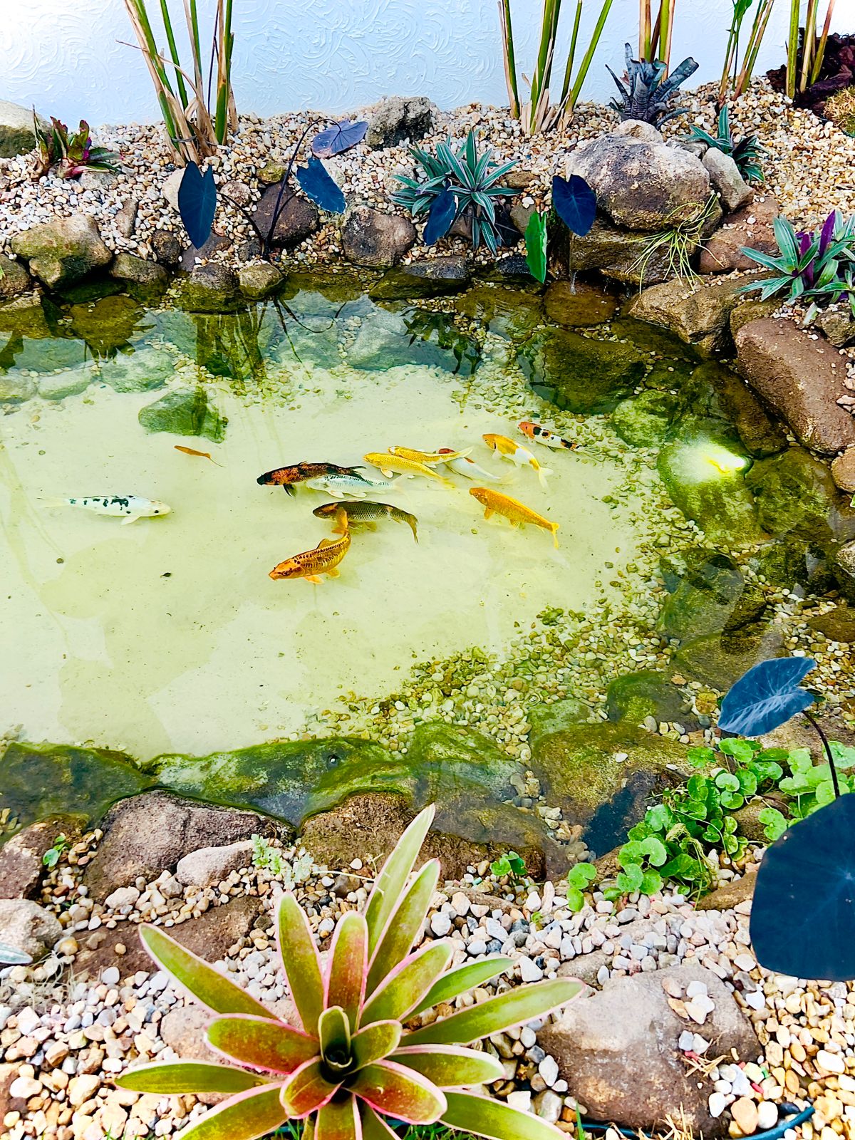 Jardins e áreas externas